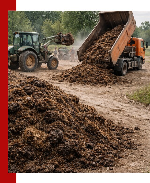 Доставка навоза самосвалами в Новоалтайске для сельхозпотребностей